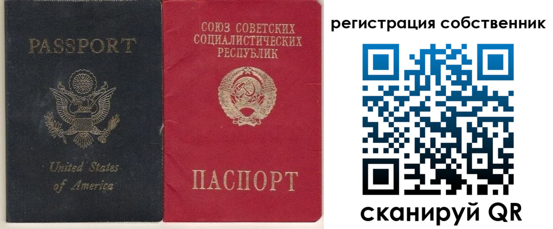 прописка поиск в Ростове-на-Дону